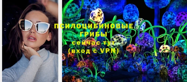 PSILOCYBIN Лиски
