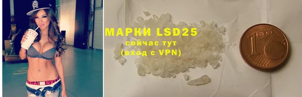 PSILOCYBIN Лиски