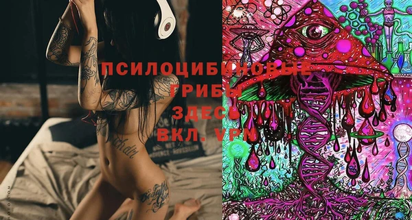 PSILOCYBIN Лиски